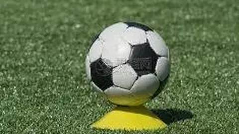 雷竞技RAYBET官方平台