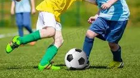 雷竞技RAYBET官方平台 资讯 112820 quc