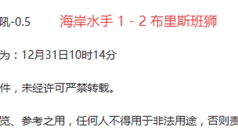 范迪克看好巴西新星：风格相近，未来可期